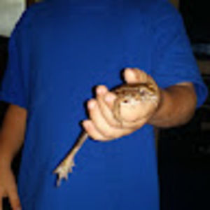 Meet your Posher, Brian